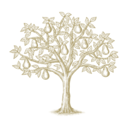 Harry & David logo