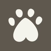 Ollie logo